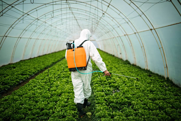 Pest Control Cost in Rochester, NH
