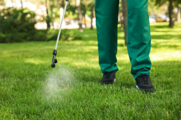 Best Cockroach Control Services  in Rochester, NH